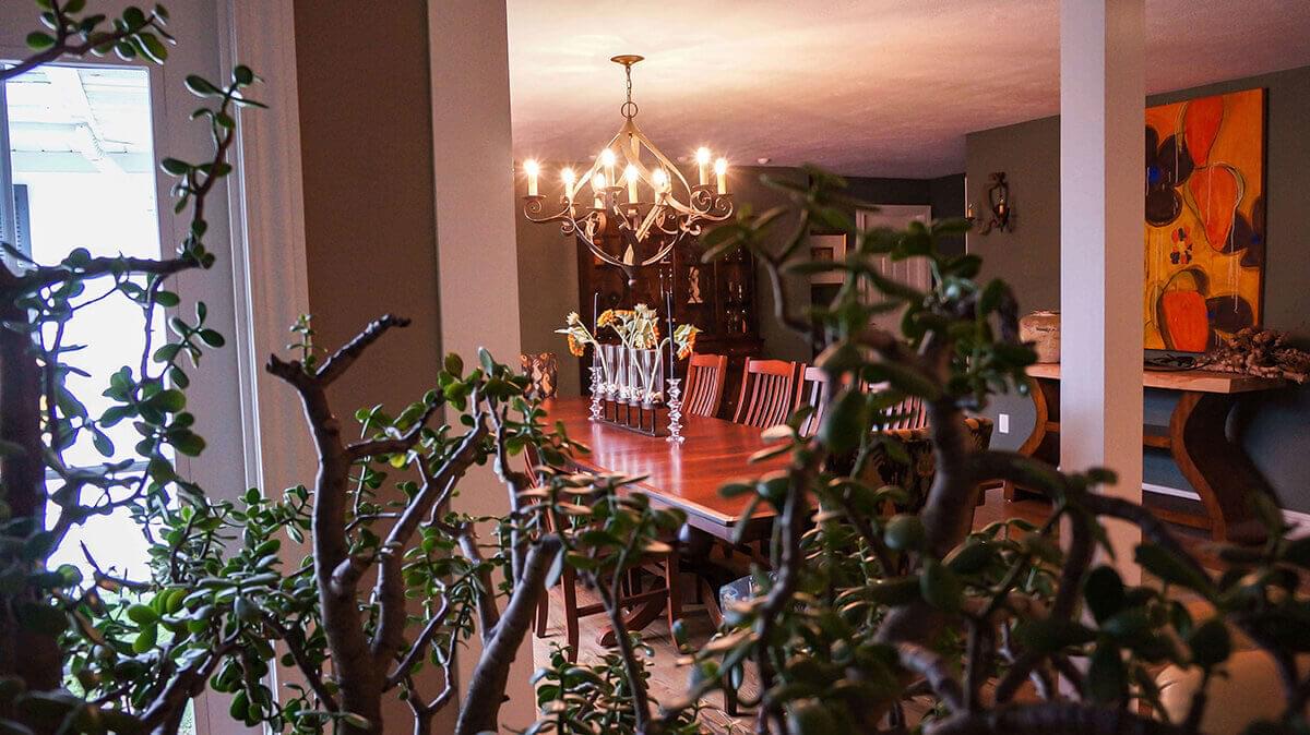 Dining room with chandelier through plant